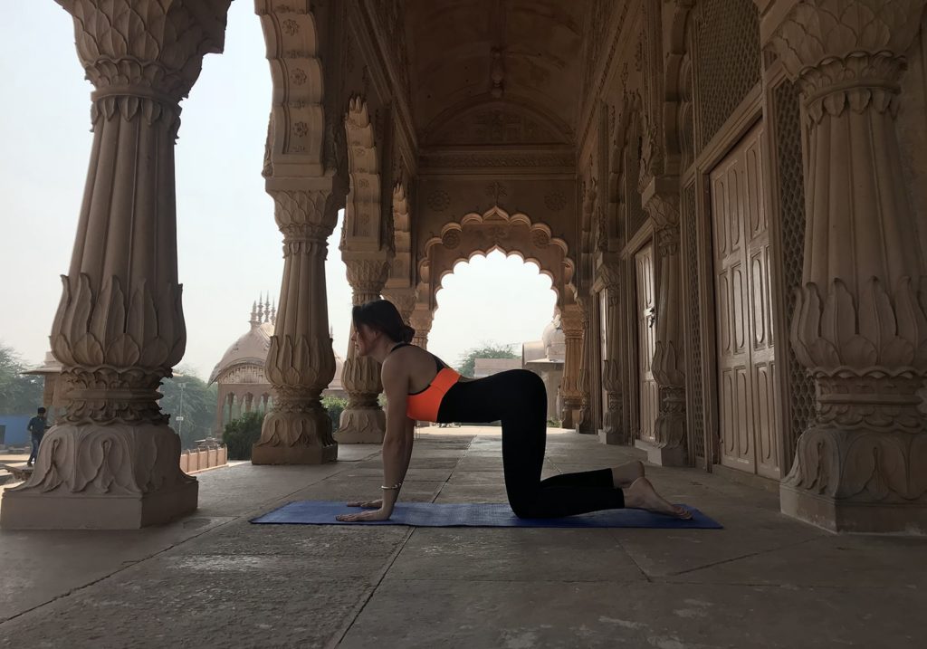 Bitilasana
